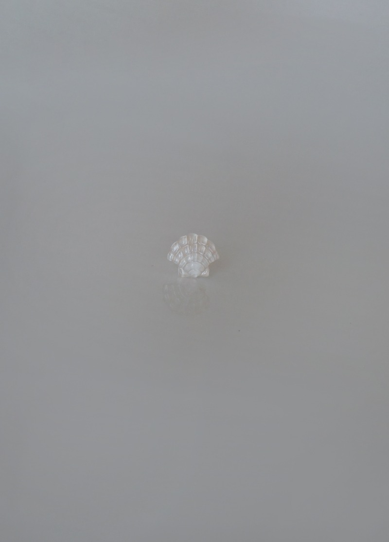 [E603][silver] shell piercing /포인트 피어싱 시선